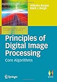 Principles of Digital Image Processing: Core Algorithms (Undergraduate Topics in Computer Science) by 