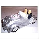 Material: Polyresin Spardose Silber Hochzeitspaar Sparschwein Sparbüchse silberne Hochzeit