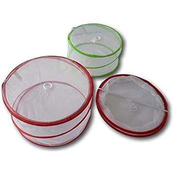 Fruchtfliegen haube Fruchtfliegen haube