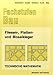Produktbild Fachstufen Bau, Fliesenleger, Plattenleger und Mosaikleger, Technische Mathematik