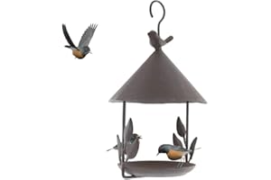 TentHome Mangeoire Maison Oiseaux Suspendue Exterieur en Fonte