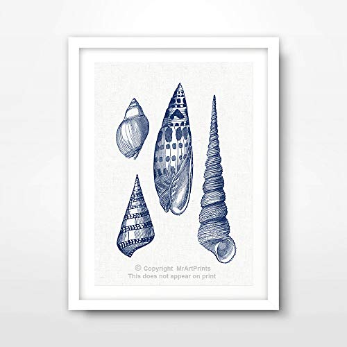 SEASHELL SHELL BLUE SEASIDE ILLUSTRATION DRAWING ART PRINT Poster Bathroom Home Decor Interior Design Wall Picture A4 A3 A2 (10 Size Options)