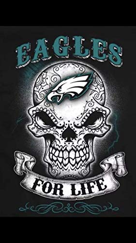Preisvergleich Produktbild DTM Philadelphia Eagles for Life Banner-Flagge