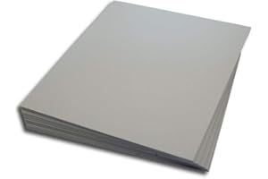 ‎PROTECTED LP Schallplatten Registerwände grau Protected (25 Stück)