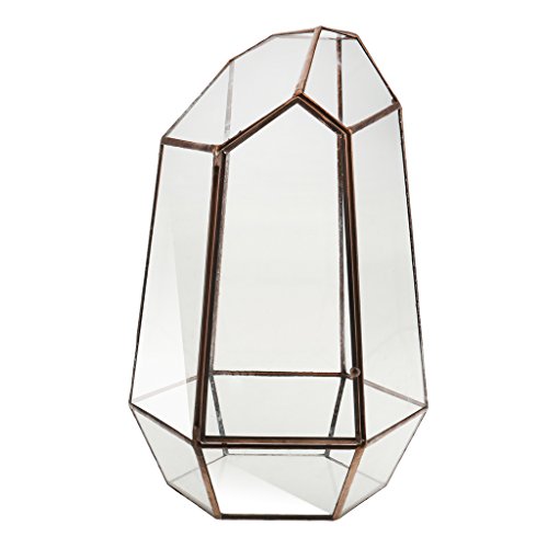 Irreguläre Mini Glasterrarium Geometrisches Glas Sukkulente Pflanzgefäß Haus Dekoration – 12 x 12 x 19cm - 2