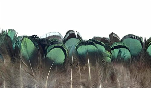 ERGEOB® Grün Kupfer Hühnerfedern Fertigkeit Basteln Feder Fasanenfedern Federhaar 4-8cm/1.5-3 Zoll Länge 100 stuck - 4