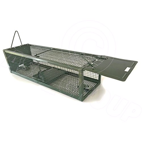 ASC – Rattenfalle Metall Ratte Traumfänger – menschlichen ohne Killing – wiederverwendbar anti-parasites Falle - 2