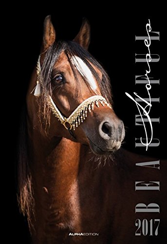 Beautiful Horses 2017 - Pferde - Bildkalender (34 x 50) - Tierkalender - by Nicole Hollenstein