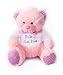 Personalised New Baby Teddy Bear with T-shirt, Baby Boy Girl, Pink Blue Keepsake (PINK)