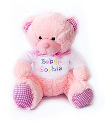 Personalised New Baby Teddy Bear with T-shirt, Baby Boy Girl, Pink Blue Keepsake (PINK)