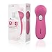 PIXNOR P2017 Waterproof Facial Cleansing Brush and Massager with 7 Brush Heads for Removing Blackhead, Exfoliating and Massaging (Classic Rosy)