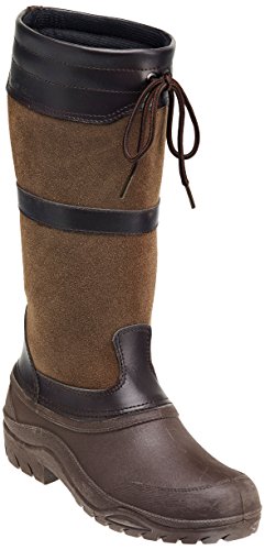 « Click to Enlarge and to go to Amazon »