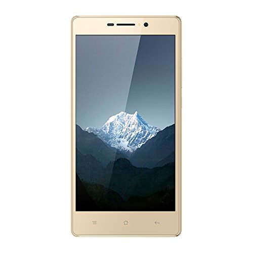 Echo Note Smartphone d  bloqu   4G  Ecran  5 5 Pouces - 16 Go - Double Micro-SIM - Android  Or