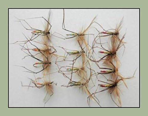 Daddy Long Legs Flies, 12 Pack Coloured Tip, Mixed 10/12, For Fly Fishing