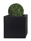 Nueva mezcla de piedra / fibra de vidrio / magnesia *En interiores, simplemente utilice nuestra lámina de sellado Pflanzwerk® (B01LSLGCRE), con la que puede alinear fácilmente el cubo de siembra..