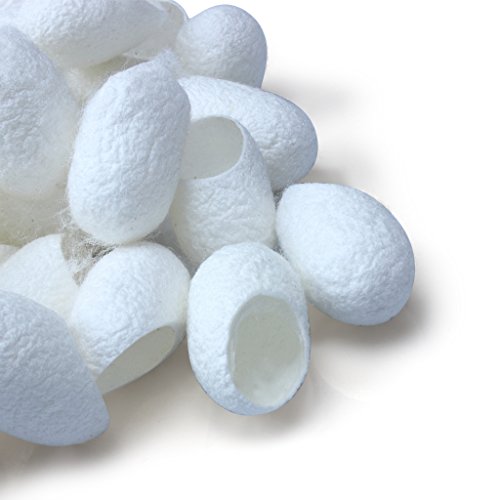 Edealing 100PCS New Organic Natural Whitening Seidenkokons Seidenraupe Balls Gesichtshaut - 3
