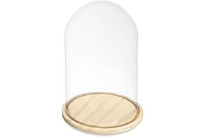 GIFT DECOR Figura Decorativa Cúpula Transparente Natural 22 x 30 x 22 cm