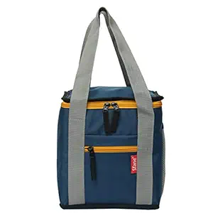 SFANE Polyester Compact, Easy Wash, Smooth Zipper and Lightweight Insulated Lunch Bag for Men, Women (Blue)