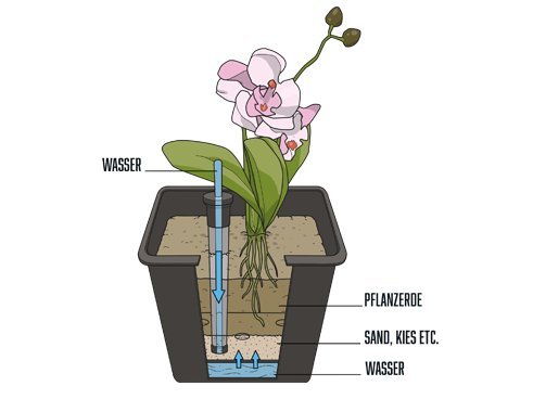 Premium-Pflanzeinsätze aus KUNSTSTOFF mit BEWÄSSERUNGSSYSTEM L26,5x B26,5x H25cm für Fiberglaskübel, Pflanzkübel, Einsatz, Inlet, Blumenkübel, Pflanzgefäße - 3