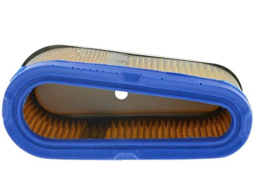 Luftfilter Briggs & Stratton B&S – 493909 / 496894 - 2
