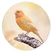 Produktbild Merchandise for Fans Kanarienvogel sitzt auf Einem AST, Mauspad rund aus Textil 20cm, Rutschfester Kautschukrücken, für alle Maustypen