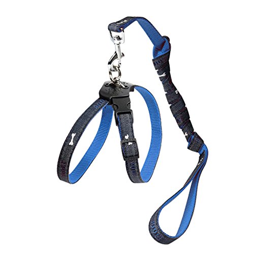 Preisvergleich Produktbild GWM Baby-Katzen, Hunde, Geschirre, Leinen, Räuber, Pantoffeln, Katzen, Hundehalsbänder, Kleine Haustier-Seile, Haustier-Versorgungsmaterialien (Farbe : Blau)