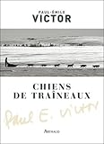 Image de Chiens de traîneaux : Compagnons du risque