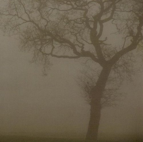 Preisvergleich Produktbild Silver