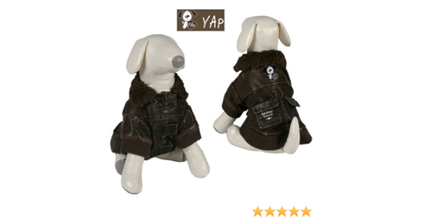 dog flying jacket