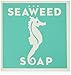 Kala Swedish Dream Moisturizing Seaweed Soap Havstang Tval 4.3Oz Soap Bar