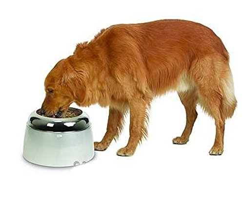 Elevated-Dog-Dish-Perfect-Dog-Food-Bowl-For-Large-Dogs-By-eCommerce-Excellence
