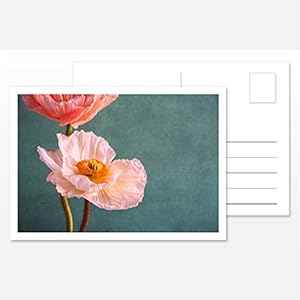 Design Fotokunst Postkarte Silent Moments 2017