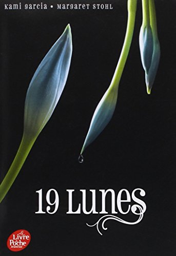 couverture de : 19 lunes