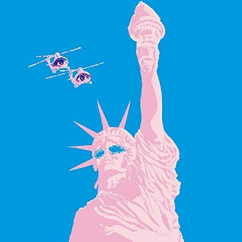 Preisvergleich Produktbild Iran Iraq Ikeas [Vinyl LP]