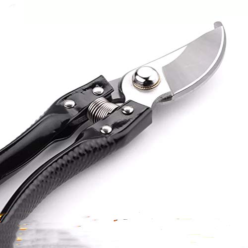 Preisvergleich Produktbild Carriea Amboss-Gartenschere für trockene Zweige und Äste, Antihaftbeschichtet, Hochwertige Stahl-Klingen