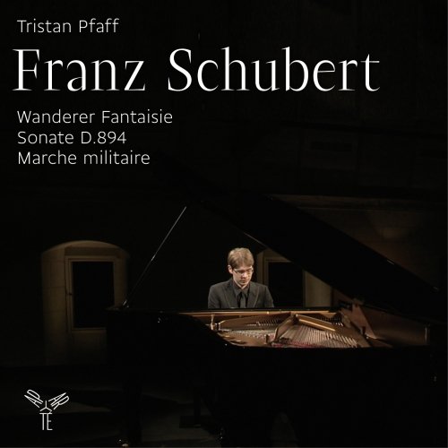 Preisvergleich Produktbild Wanderer-Fantasie / Sonate d.894