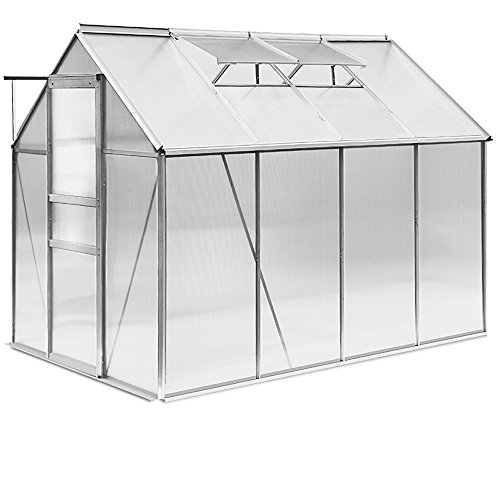 Aluminium Gewächshaus Alu 7,63m³ M3 250x190x195 cm + Stahlfundament Fundament Treibhaus Gartenhaus Frühbeet Pflanzenhaus Aufzucht - 2