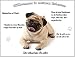 Produktbild Blechschild / Warnschild / Türschild - Aluminium - 20x30cm - - "Willkommen in meinem Zuhause" - Motiv: Mops Porträt-- 08