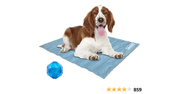 coleman cooling mat