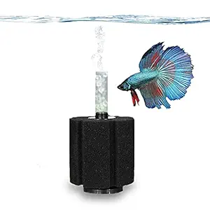 SunGrow Betta Sponge Filter, Works for Tropical Fish and Breeder Aquarium, Perfect for Fry and Small Fish, A Must-Have for Aquarium Hobbyist, Airline Tube Not Included, 1 Pack