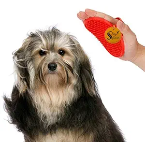 Sage Square 2 in 1 Adjustable Dog Brush/Pet Comb for Grooming Cum Massager & Safety for Pets from Mites/Lice/Ticks for Dog/Puppy/Kitten/Cat (Red)