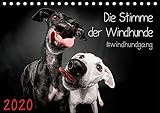 Die Stimme der Windhunde (Tischkalender 2020 DIN A5 quer) by