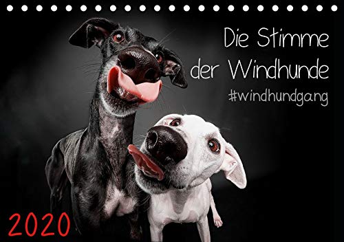 Die Stimme der Windhunde (Tischkalender 2020 DIN A5 quer)