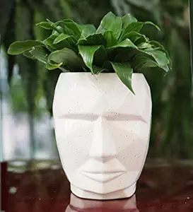 Lyallpur Stores Ceramic Planter Pot Iron Man Shape - Medium (White Color, 14 cm) Plant Not Included
