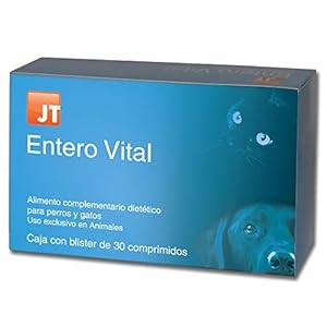 JTPharma Enterovital – 30 Comprimidos 50 g