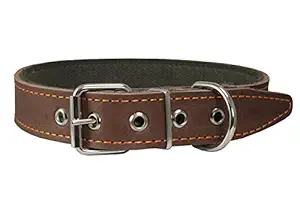 Thick Genuine Leather Dog Collar, Cotton Padded, 1.25