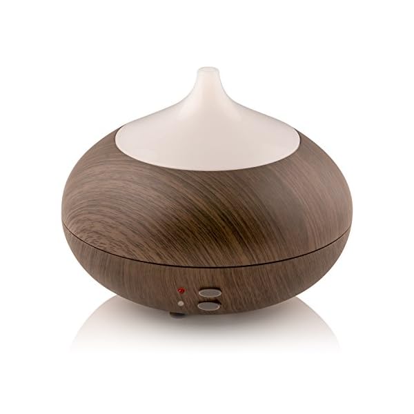 Pro Breeze® Vase Aroma Diffuser Humidifier with 2 Interchangeable Tops