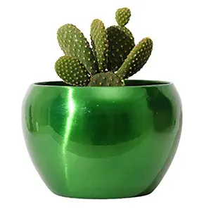Homspurts Metallic Sunshine Pot Green (4.7 inches) Multipurpose Pot/Desktop Flower Planter/Home d