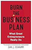 Burn The Business Plan: What Great Entrepreneurs Really Do (English Edition) by 