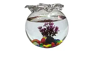 Foodie Puppies Glass Fish Bowl with Baby Plant & Multi-Color Stone (Flower, 8inch)